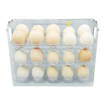 jpg100 t4 width360(5)