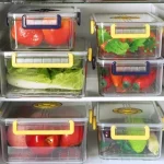 png100 t3 scale100(1)