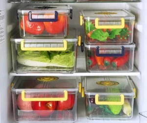 png100 t3 scale100(1)